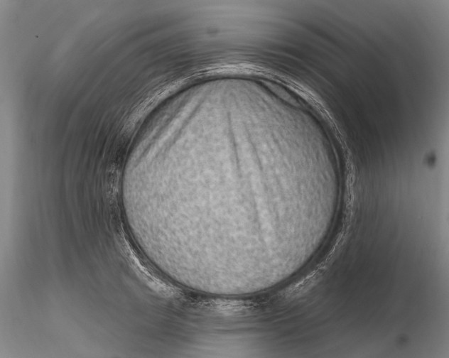 X0000115610849200912011549