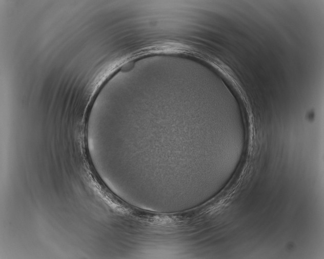 X0000115610850200912011549