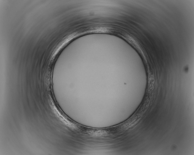 X0000115610851200912011549