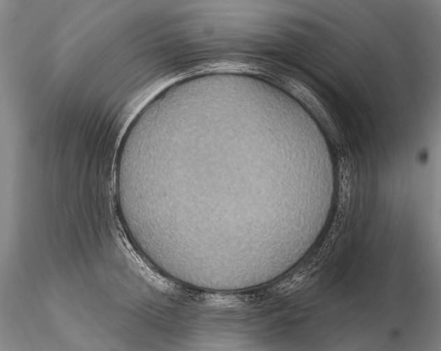 X0000115610852200912011549