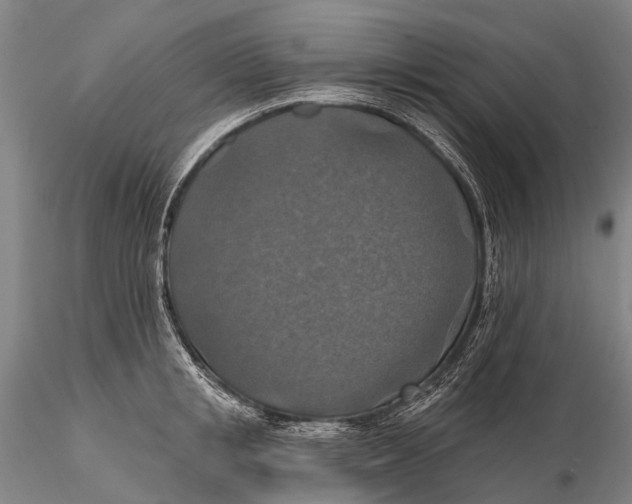 X0000115610853200912011549