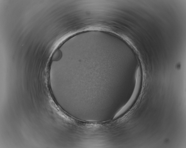 X0000115610854200912011549