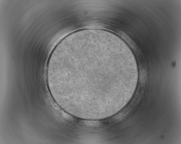 X0000115610856200912011549