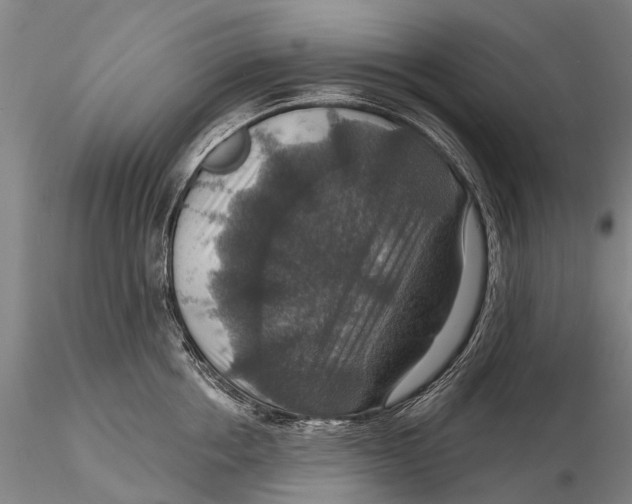X0000115610858200912011549