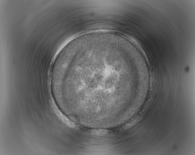 X0000115610859200912011549
