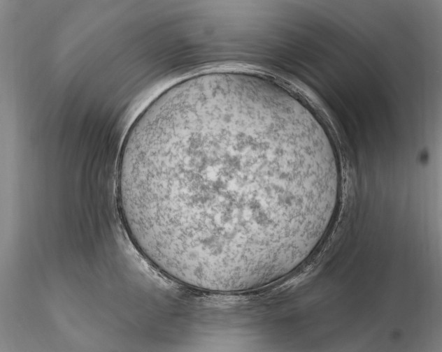 X0000115610860200912011549