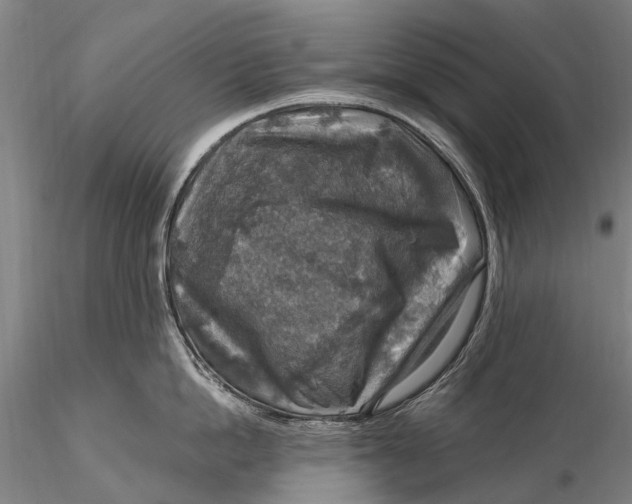 X0000115610862200912011549