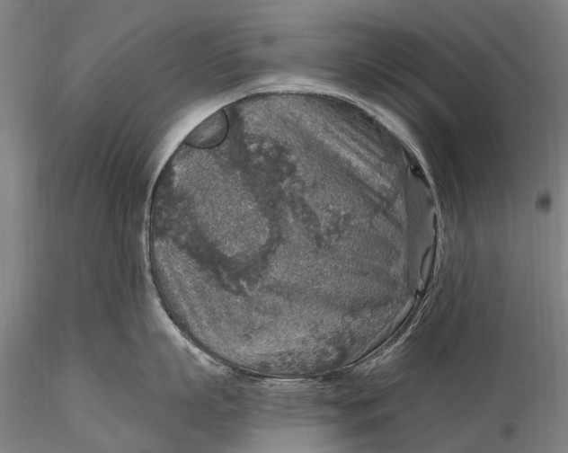 X0000115610863200912011549