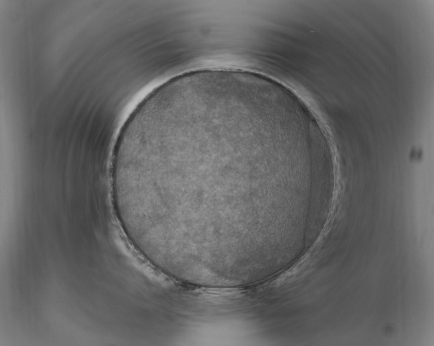 X0000115610864200912011549