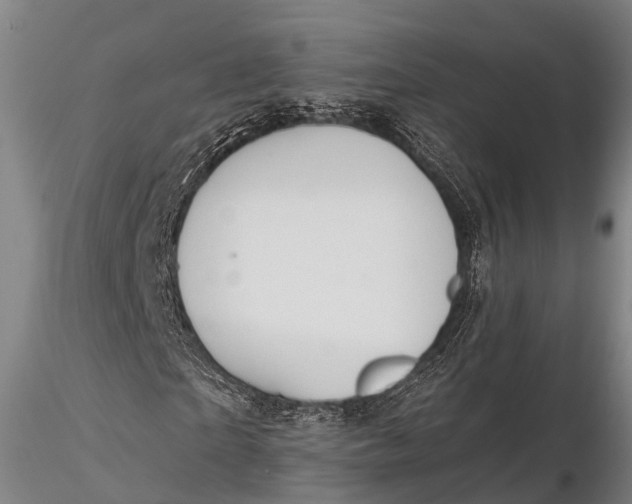 X0000115610865200912011548