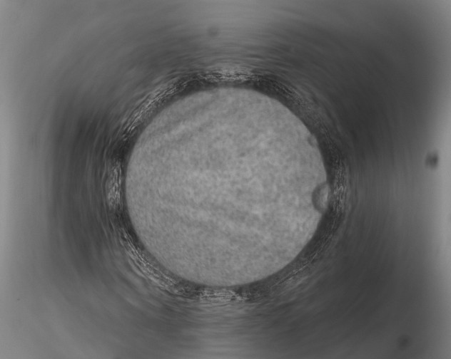 X0000115610866200912011548
