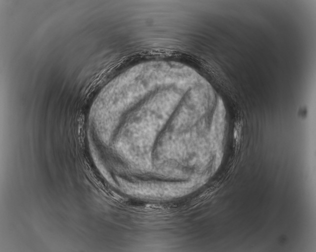 X0000115610867200912011548