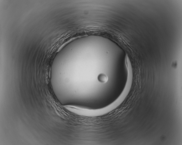 X0000115610868200912011548