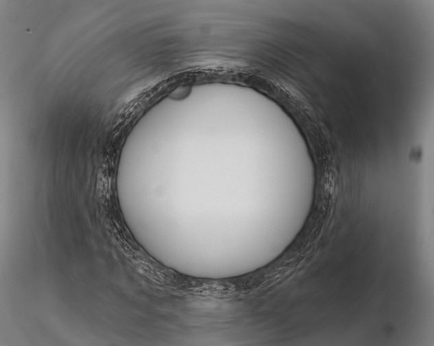 X0000115610869200912011548