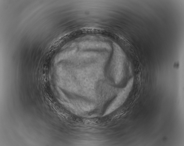 X0000115610870200912011548