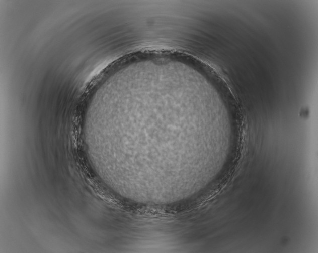 X0000115610871200912011548