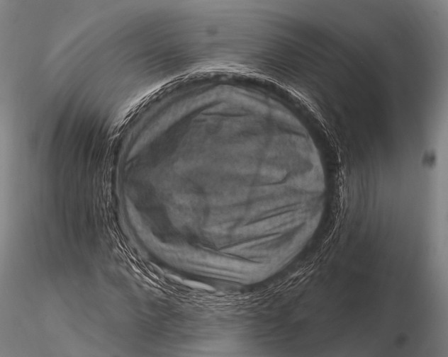 X0000115610872200912011548
