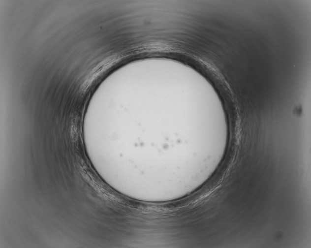 X0000115610873200912011548