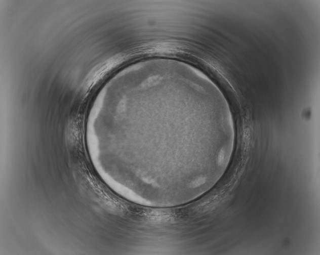 X0000115610874200912011548