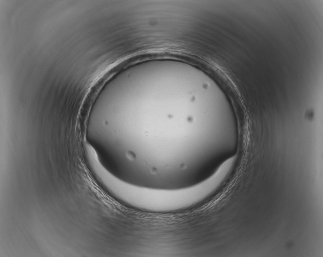 X0000115610876200912011548