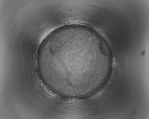 X0000115610877200912011548