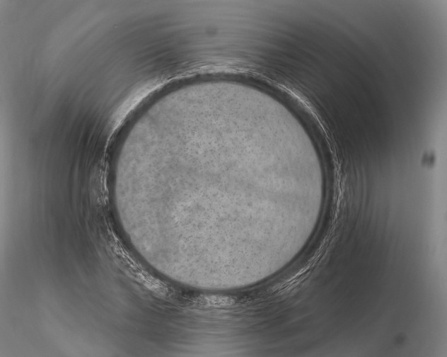 X0000115610878200912011548
