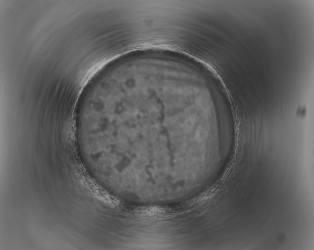 X0000115610879200912011548