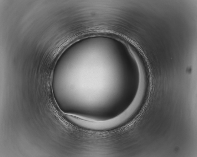 X0000115610881200912011548