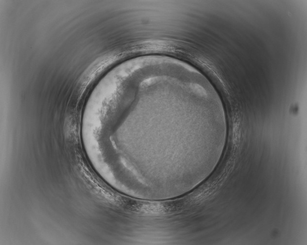 X0000115610882200912011548