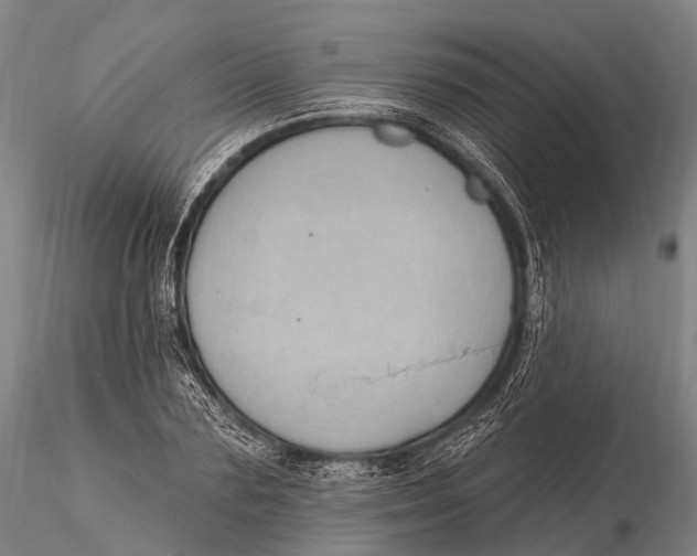 X0000115610883200912011548