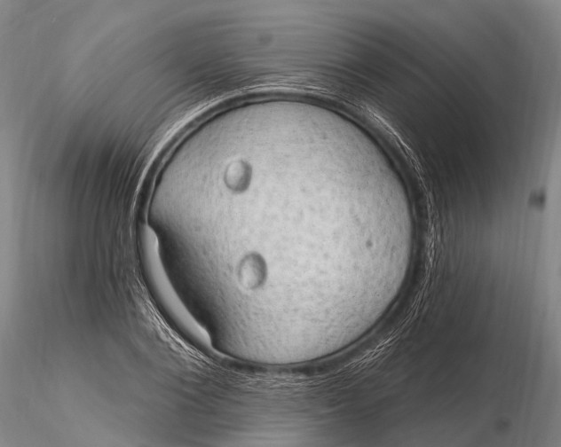 X0000115610884200912011548