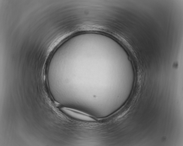X0000115610885200912011548
