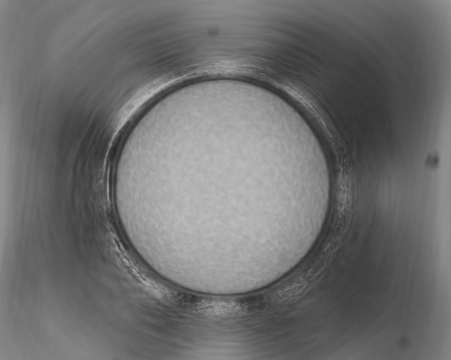 X0000115610886200912011548