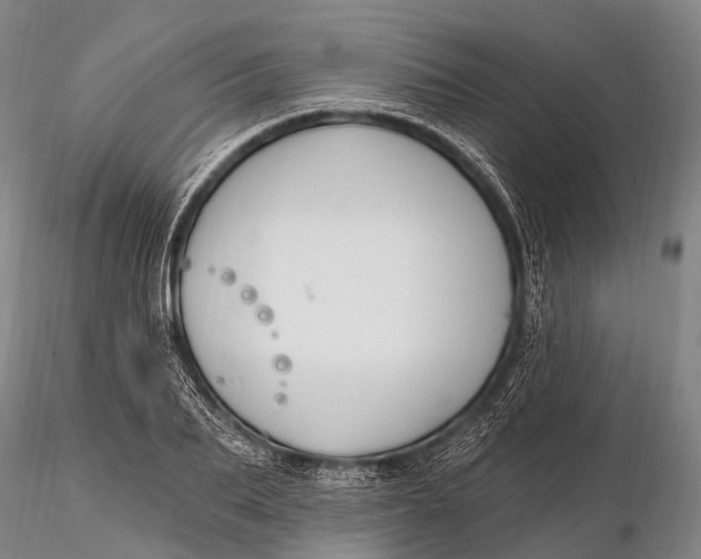 X0000115610887200912011548