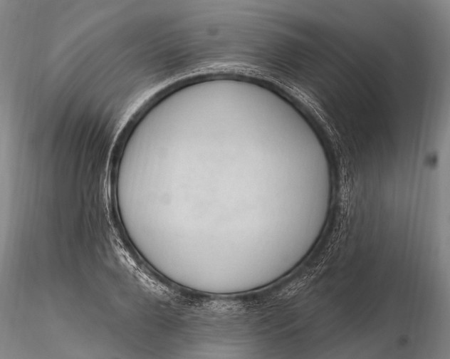 X0000115610888200912011548