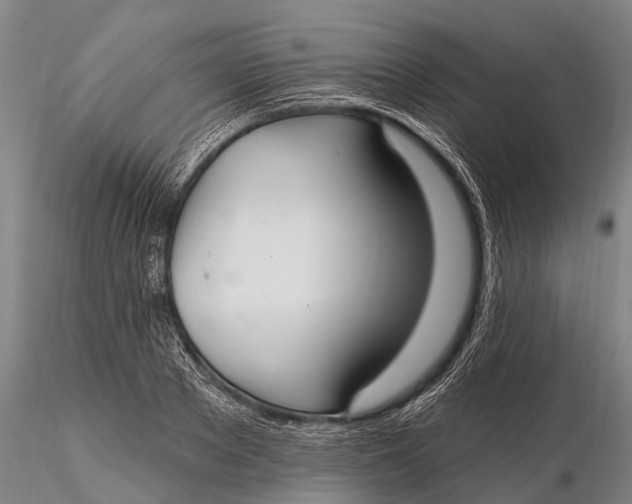 X0000115610889200912011548
