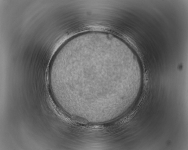 X0000115610891200912011548