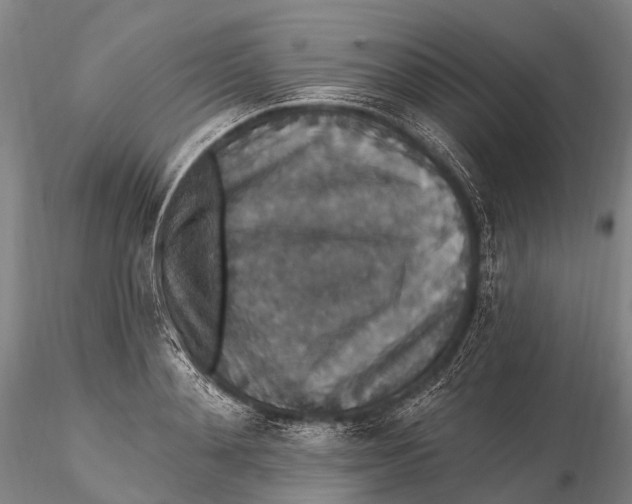 X0000115610892200912011548