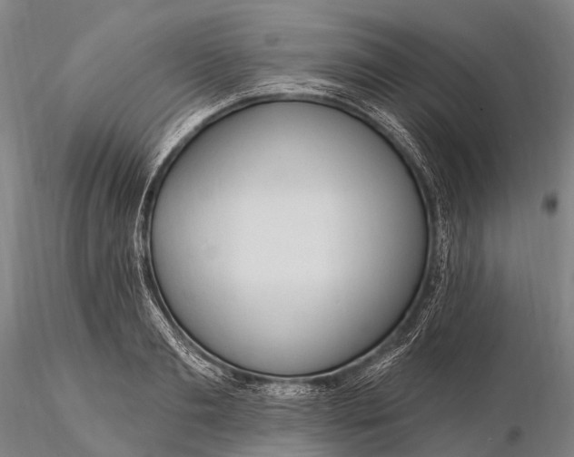 X0000115610893200912011548