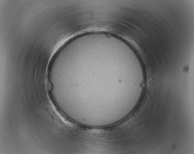 X0000115610894200912011548