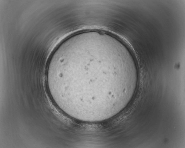 X0000115610895200912011548