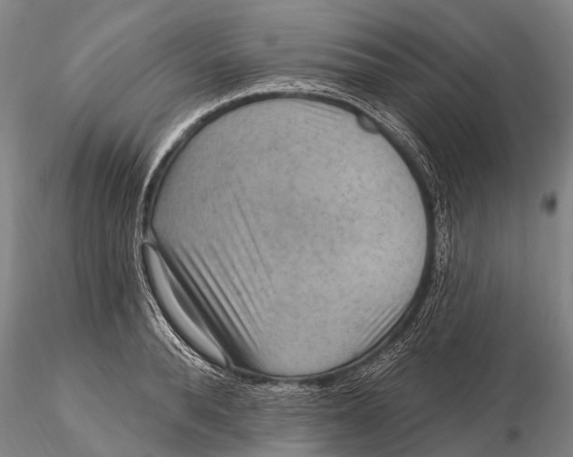 X0000115610896200912011548