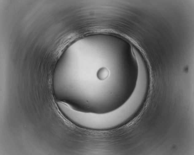 X0000115610897200912011548