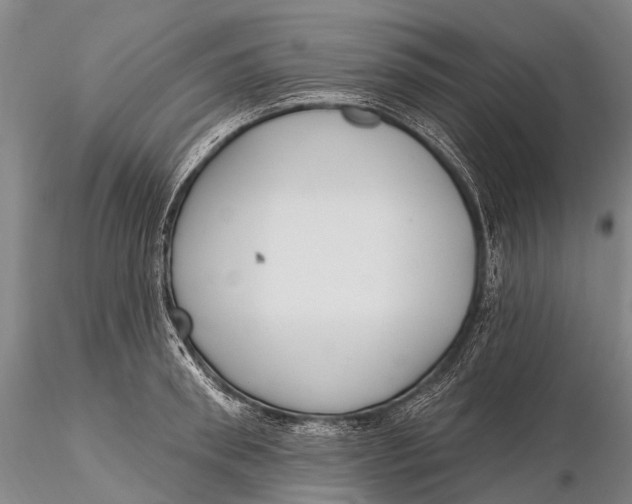 X0000115610898200912011548