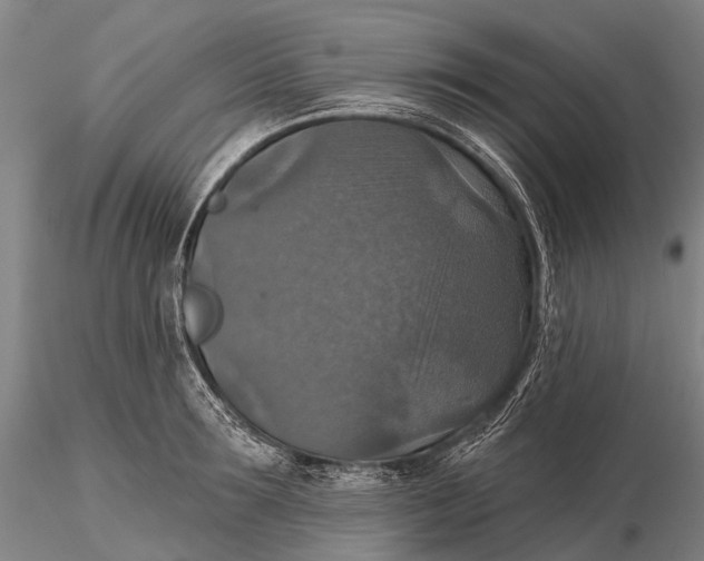 X0000115610899200912011548