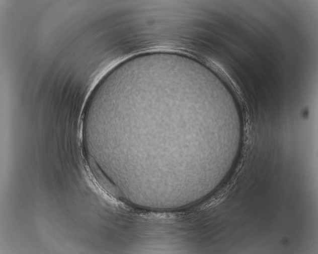 X0000115610900200912011548