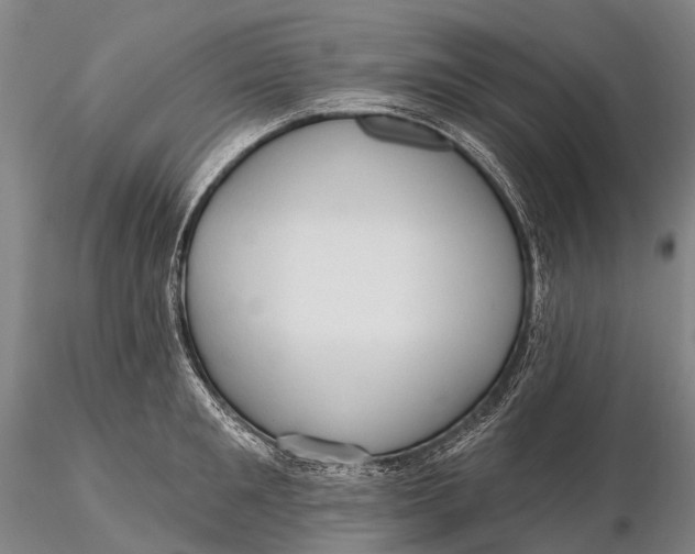 X0000115610901200912011548