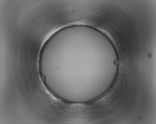 X0000115610902200912011548