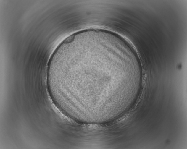 X0000115610903200912011548
