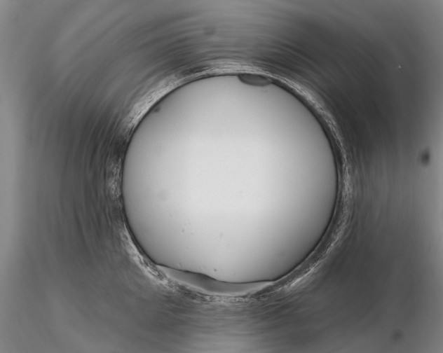 X0000115610905200912011548